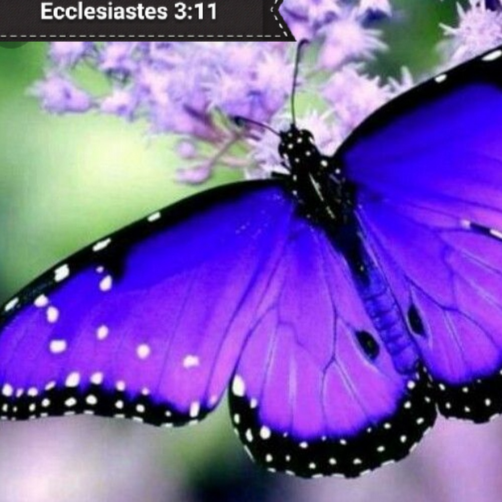 Meet your Posher, Minna